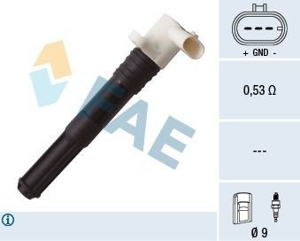 FAE 80266 Tennspole