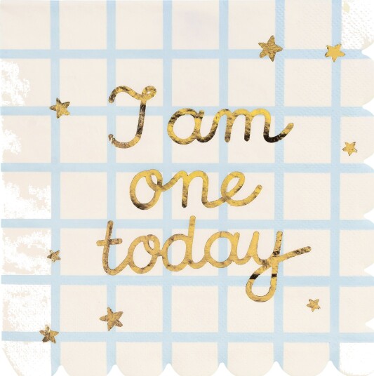 Servietter I Am One Today   12 pakning