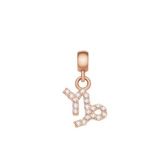 Daniel Wellington DW Charm Zodiac Rose Gold Daniel Wellington DW Charm Zodiac Rose Gold