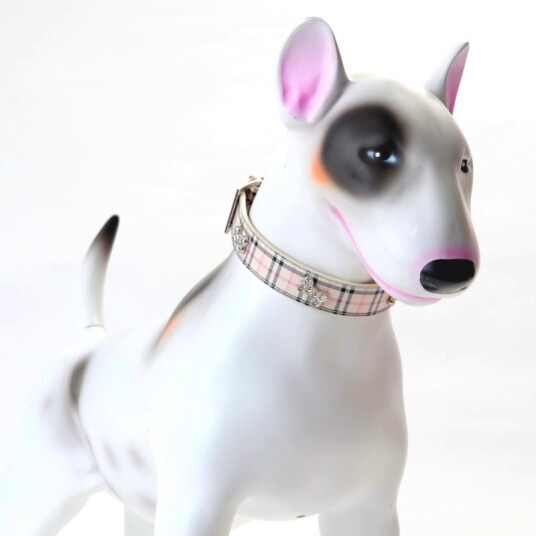 Bling Halsbånd Til Hund Og Katt