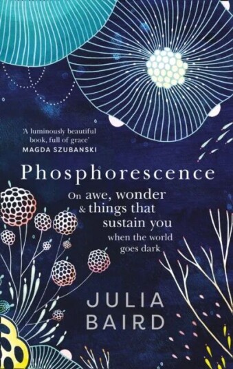 Phosphorescence Av Julia Baird