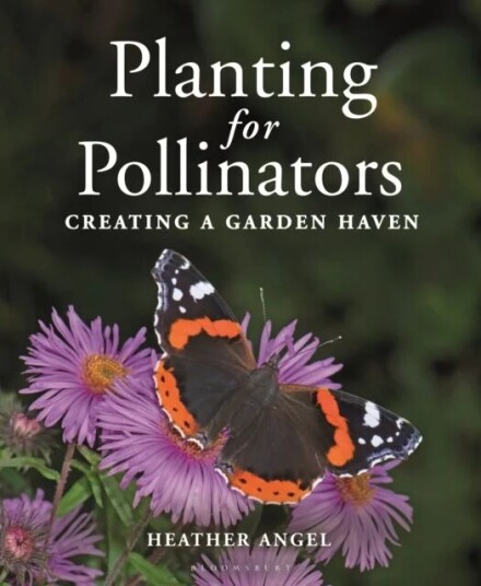 Planting For Pollinators Av Ms Heather Angel