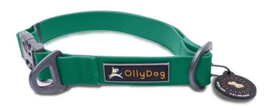 Ollydog Tilden Collar S Teal