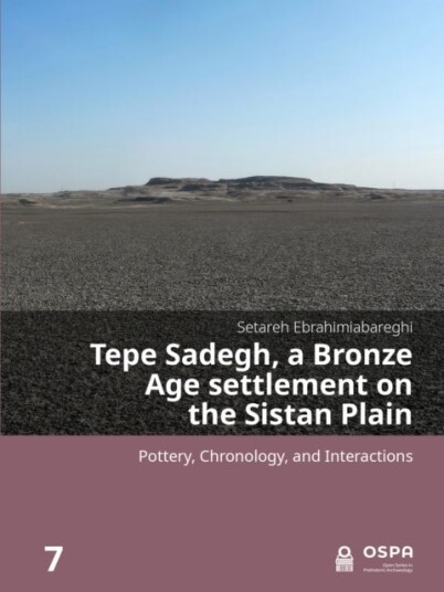 Tepe Sadegh a Bronze Age settlement on the Sistan Plain