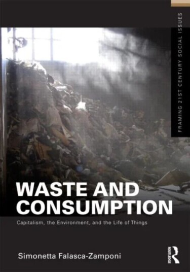 Waste And Consumption Av Simonetta Falasca-Zamponi