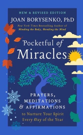 Pocketful Of Miracles (Revised And Updated) Av Joan Borysenko