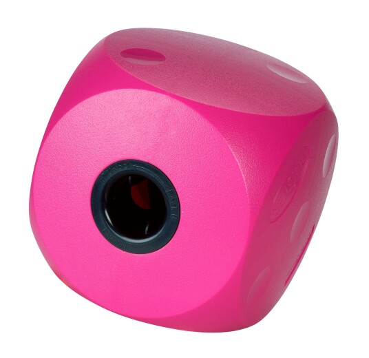 Buster Food Cube Cherry (274081) Buster Food Cube Cherry (274081)
