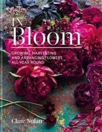 In Bloom Av Clare Nolan