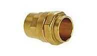 Isiflo 25 x 3/4" Union Type 116