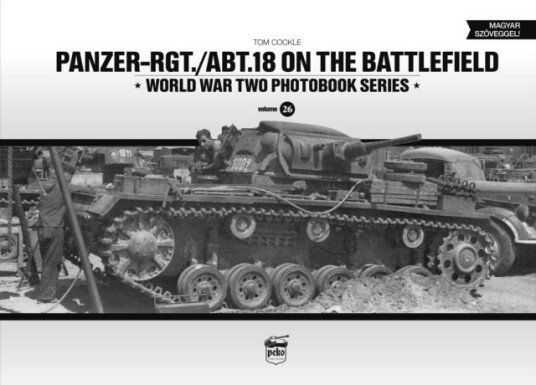 PanzerRgt./Abt.18 on the Battlefield