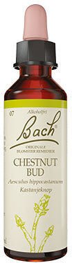 Bach Originale Blomsterremedier Dråper Kastanjeknop Bach Originale Blomsterremedier Dråper Kastanjeknop