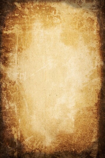 Wilton teppe Buendia brun Size: 180 x 270 cm Wilton teppe Buendia brun Size: 180 x 270 cm