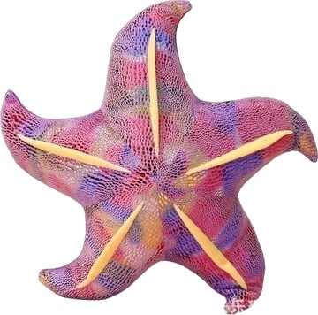 Lean Toys Myk Pute Sjøestjerne Lilla 20 Cm Lean Toys Myk Pute Sjøestjerne Lilla 20 Cm