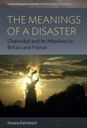 The Meanings of a Disaster