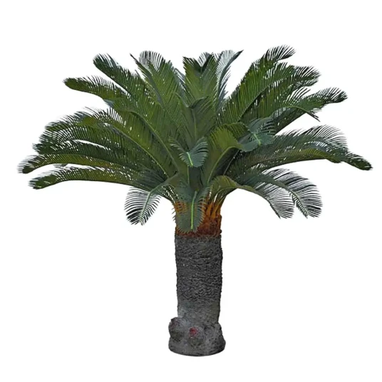 Mr Plant Cycas Palme 130 cm Mr Plant Cycas Palme 130 cm