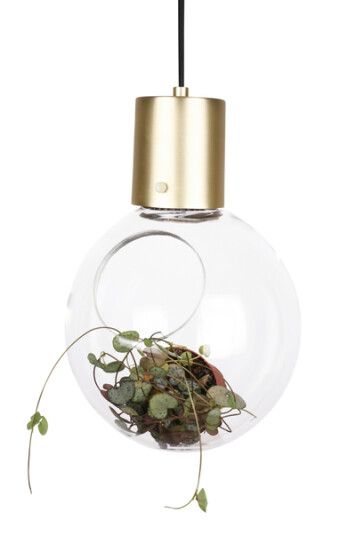 Globen Lighting Taklampe/Bordlampe Mini Hole 1581511-01-0