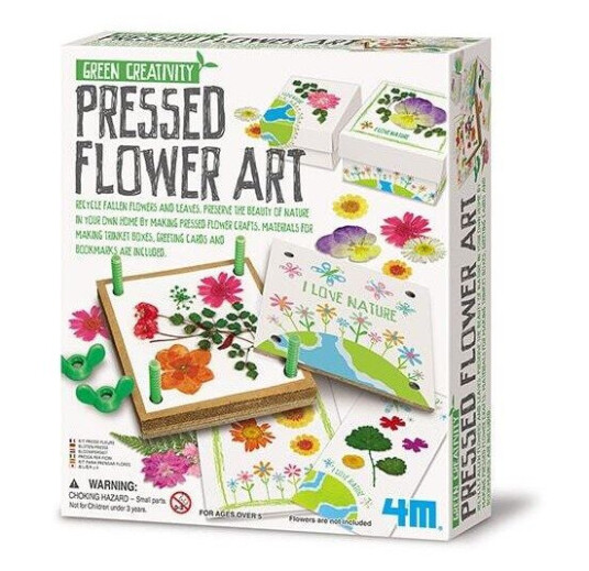 4M Grønn Creativity/Pressed flower art