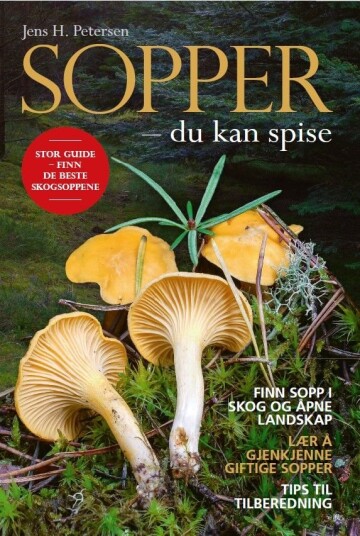 Sopper Sopper