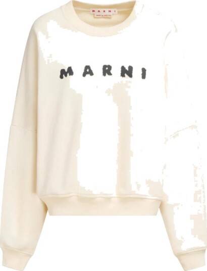 Marni, Dame, Gensere & Hettegensere, Beige, S,