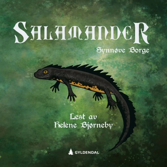 Salamander Av Synnøve Borge
