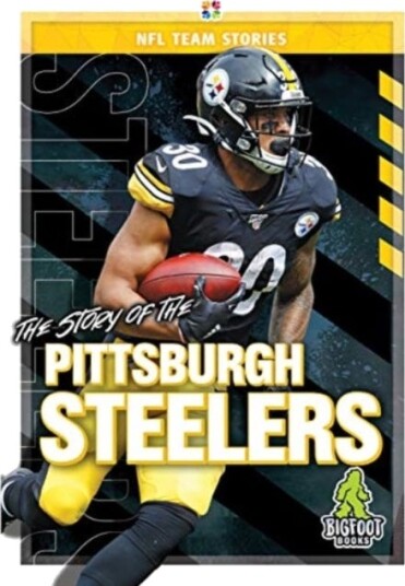 The Story Of The Pittsburgh Steelers Av Diane Bailey The Story Of The Pittsburgh Steelers Av Diane Bailey