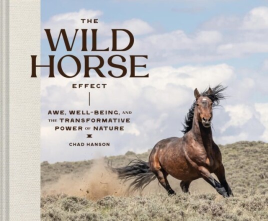 The Wild Horse Effect  Awe, WellBeing, and the Transformative Power of Nature