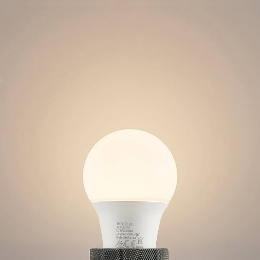 Arcchio LED-pære E27 A60 5,5W 3 000 K opal
