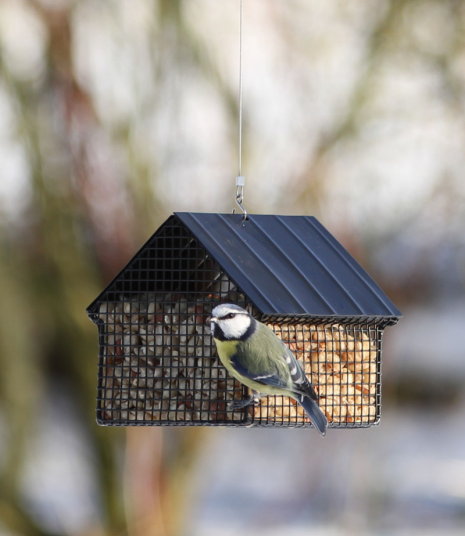 Wildlife Garden Fuglemater Hus Svart Wildlife Garden Fuglemater Hus Svart