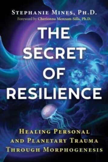 The Secret Of Resilience Av Stephanie Mines