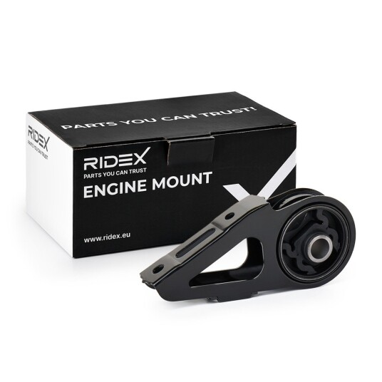Motorfeste RIDEX 247E1124
