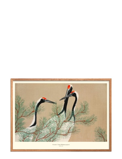 Poster & Frame Cranes-From-Momoyogusa - Multi/patterned - 29.7X42CM