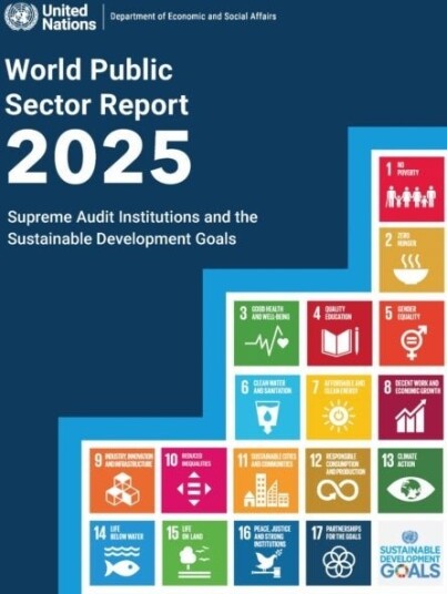 World Public Sector Report 2025