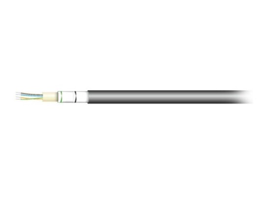 Efb Elektronik 55224.1Om3 A-Dq(Zn) B2y Om3
