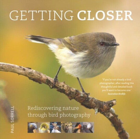 Getting Closer Rediscovering Nature Through Bird Photography Getting Closer Rediscovering Nature Through Bird Photography