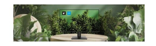 24,5" MSI PRO MP251 E2 - LED monitor - Full HD (1080p) - 25" - HDR