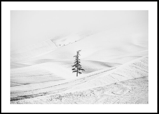 Paying respect Plakat Plakat / 50x70cm