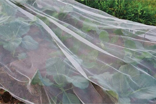Innsektsnett Ryom 2x5 m