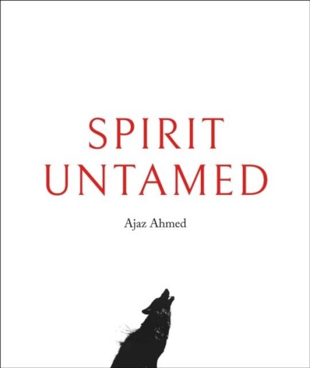 Spirit Untamed Spirit Untamed
