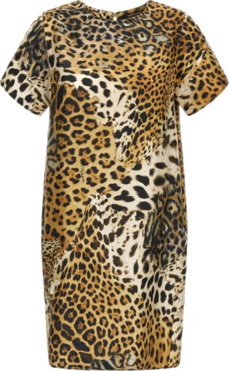 Roberto Cavalli Dame Kjoler Brun S, Roberto Cavalli Dame Kjoler Brun S,