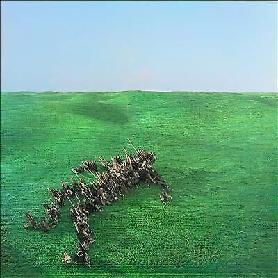 MediaTronixs Squid : Bright Green Field CD Album Digipak (2021) Pre-Owned