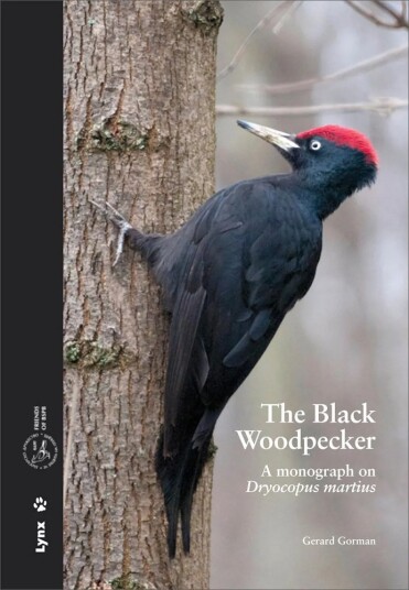 The Black Woodpecker The Black Woodpecker