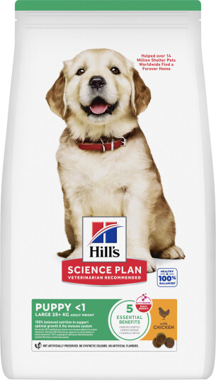 Hill's Science Plan Canine Puppy Large Breed Chicken 6kg 610011 Hill's Science Plan Canine Puppy Large Breed Chicken 6kg 610011