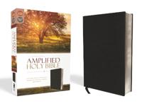 Amplified Holy Bible, Bonded Leather, Black (031044392X)