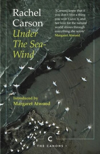 Under The Sea-Wind Av Rachel Carson
