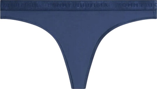 Tommy Hilfiger Thong (Ext. Sizes) AEGEAN SEA XS