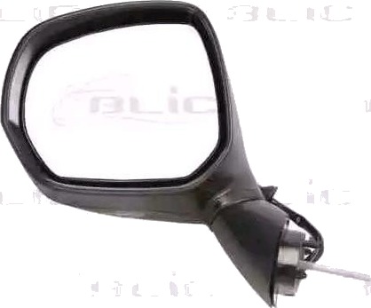 Sidespeil BLIC 5402-21-037369P