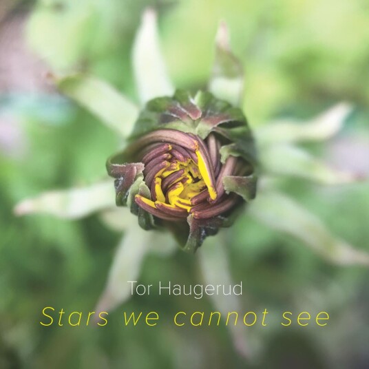 Tor Haugerud Stars We Cannot See LP/Vinyl Tor Haugerud Stars We Cannot See LP/Vinyl
