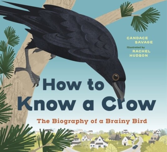 How to Know a Crow How to Know a Crow