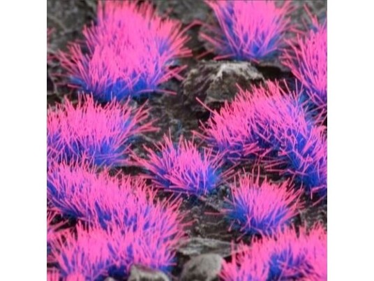 Gamers Grass Gamers Grass: Special Tufts - 4 Mm - Alien Neon (Wild) Gamers Grass Gamers Grass: Special Tufts - 4 Mm - Alien Neon (Wild)