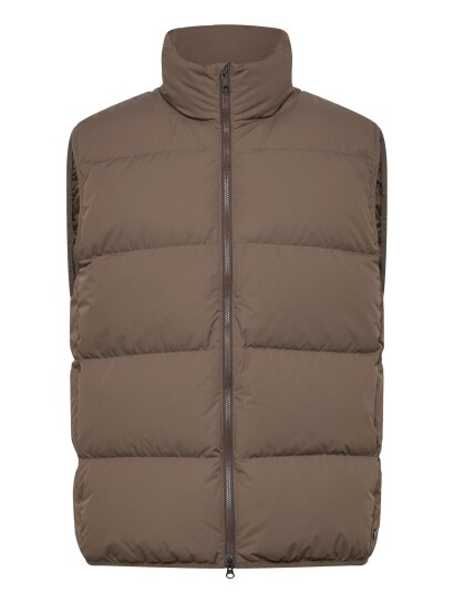 Scandinavian Edition Script Brown L
